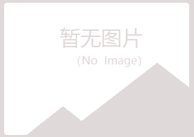 赫山区搁浅能源有限公司